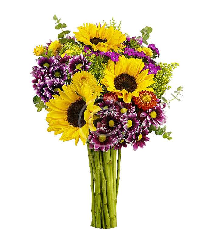 5 Johannesburg International Flower Show